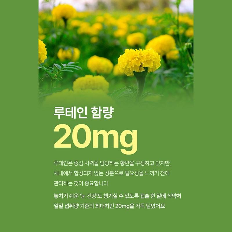 Days Multipack Comprehensive Nutrients Multivitamin + Lactic Acid Bacteria + rTG Omega 3 + Lutein, 66 Servings, 1 Box