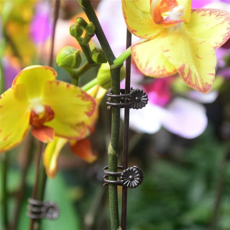 50PCS Orchid Clips Plant Support Clips Secured Plastic Plant Clip Reusable Garden Tomato Plant Support Stems Vine Fixing Clips