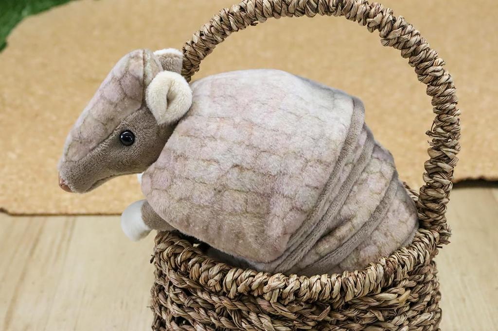 Takeoff Three-banded Armadillo