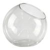 Vase terrarium en verre borosilicaté élégant et transparent pour décor de succulentes, ouverture large, tailles 13,5 cm 15 cm 16 cm 18 cm 20 cm