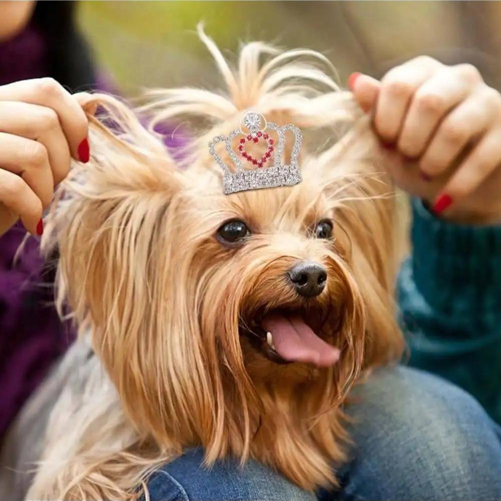 Pet Cat Dog Hair Clip Bone Mini Hair Barrettes Crown Heart Plum Blossom Party Holiday Decoration Pet Dog Cat Hair Clips Headwear