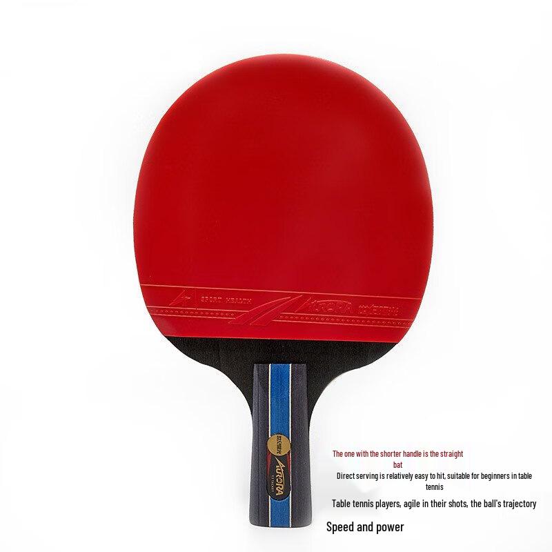 SHXI Table Tennis Paddle Set with Bag