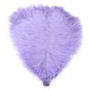 10Pcs Stage Props Ostrich Feathers 15-20cm Colored Ostrich Feathers  Home Decoration