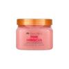 TREE HUT Shea Zuckerpeeling 510 g  (17 Optionen)
