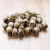 Skull Simulation Medium Set: Creative Flower Pot & Micro Landscape Paving Stone Ornaments.
