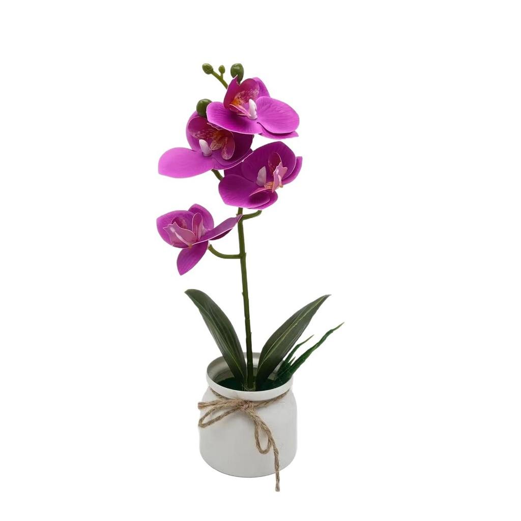 Phalaenopsis Faux Plant For Wedding Decoration And Home Indoor Display