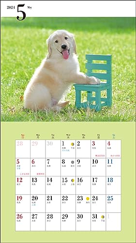 2024 Calendar Cute Golden Retriever (Seibundo Shinkosha Calendar)
