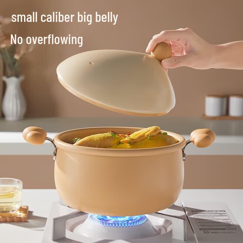 COOKER KING 20cm Non-Stick Multi-Purpose Soup Pot
