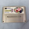 Відеоігри – Nintendo Co.