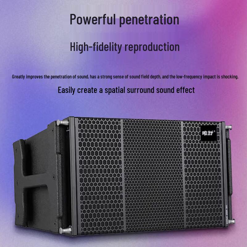 Weishu 10-inch Full-Range Passive Line Array Speaker CN plug (adapter included)