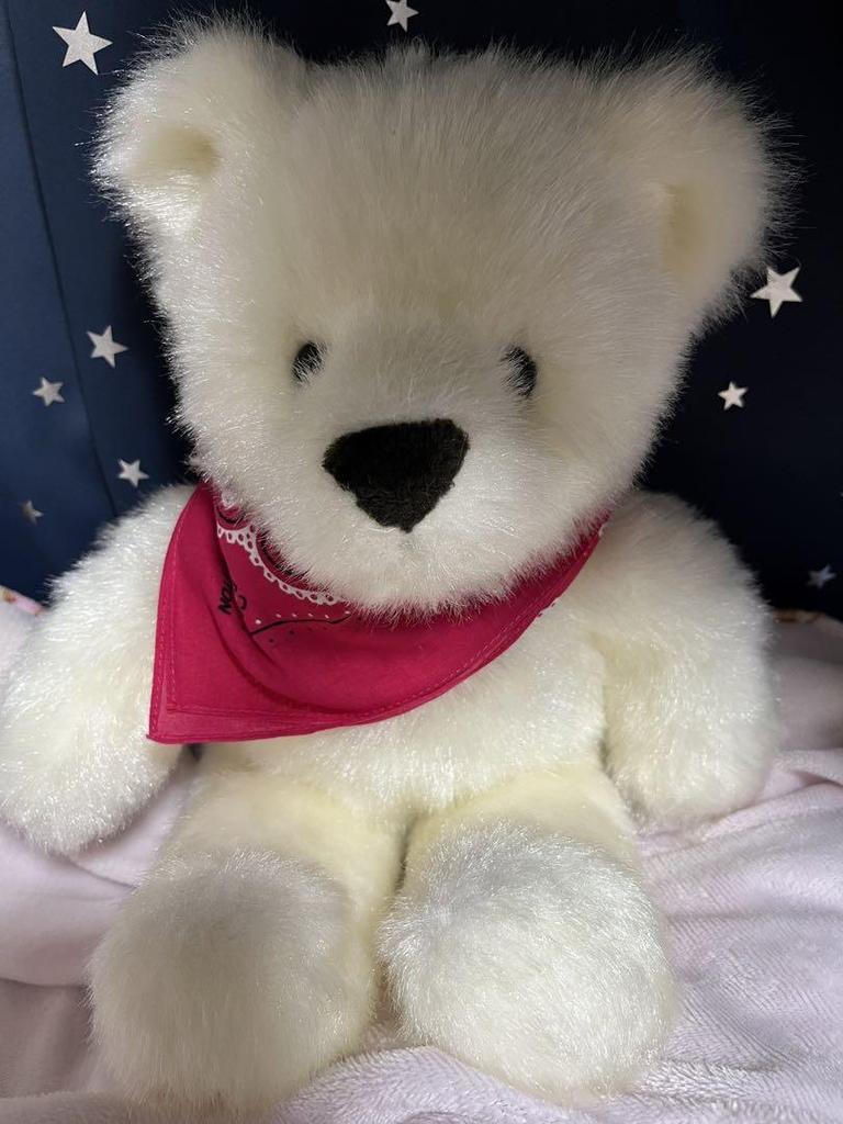 [USED] Hirokun House Teddy Bear