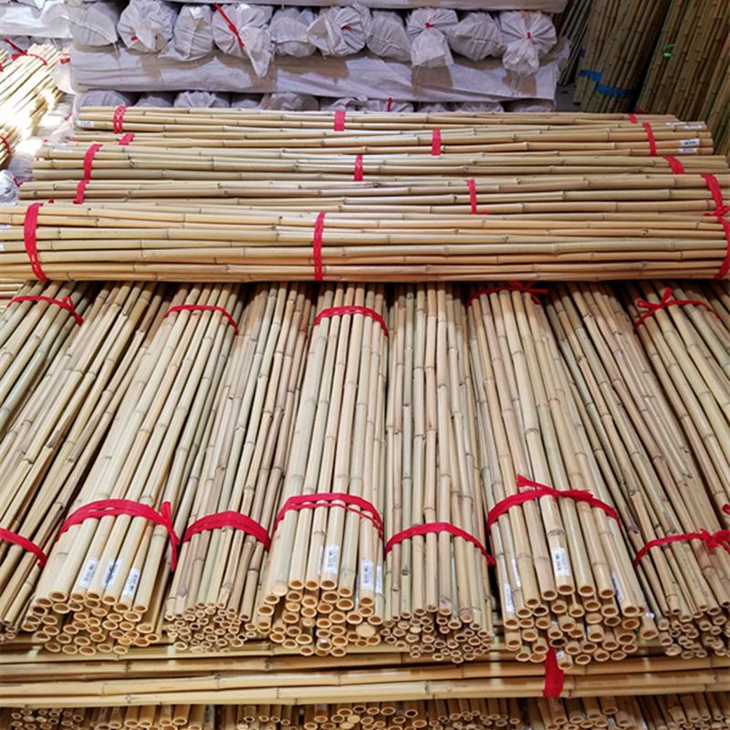 Purple, White, and Light Bamboo Poles for Indoor/Outdoor Decor - Insect-Proof & Anti-Corrosion, Perfect for Flags and Dance Props