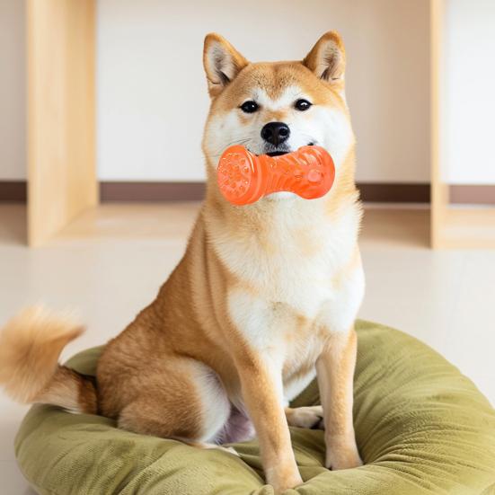 Dog Squeaky Toys Sound Interactive Chew Toy with 360° Thorny Texture for Teeth Cleaning