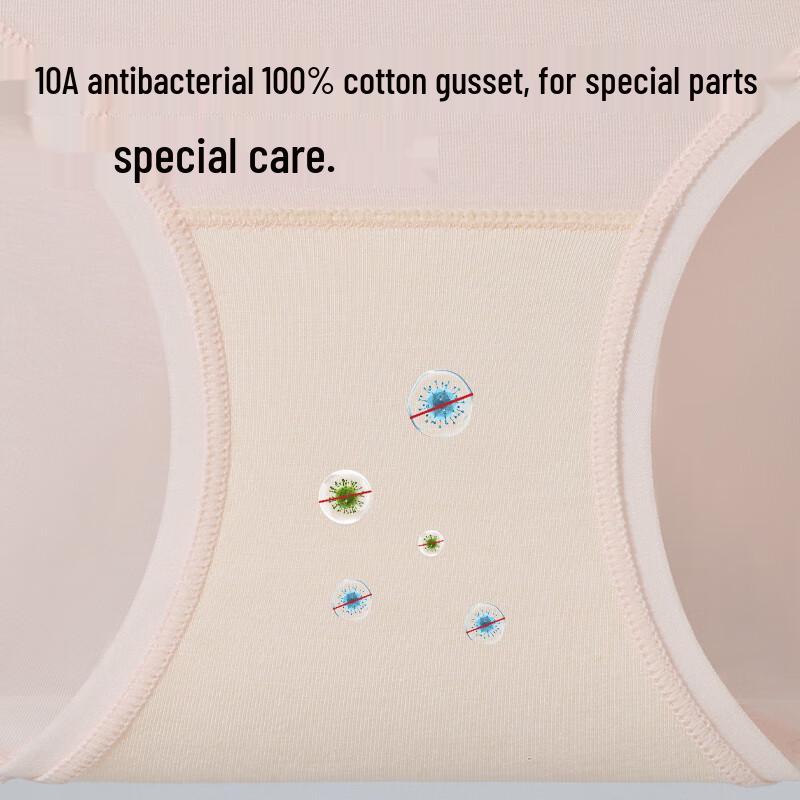 MiiOW Women's Modal Antibacterial Briefs - 4 Pack