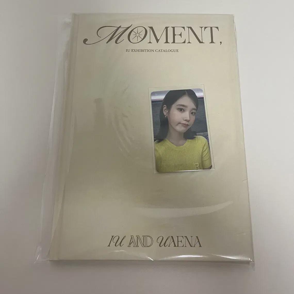 

IU Мгновенный каталог выставки