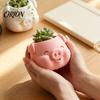 Succulents Planter Pot 3D Printed Pig Shaped Flowerpot, Decorative for Herb Petg Plants, Animal Mini Flower Holder Indoor Outdoor Small Desktop