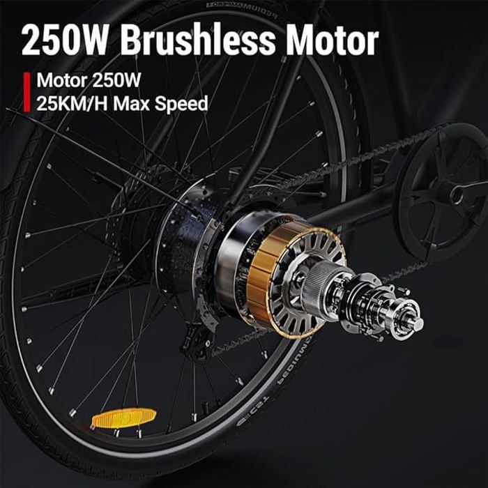 DYU Stroll 1 E-Bike 27.5 ,avec Pneus 700 X 38C CST, Batterie Amovible 36V 9Ah, 250W, 25km/h, Noir