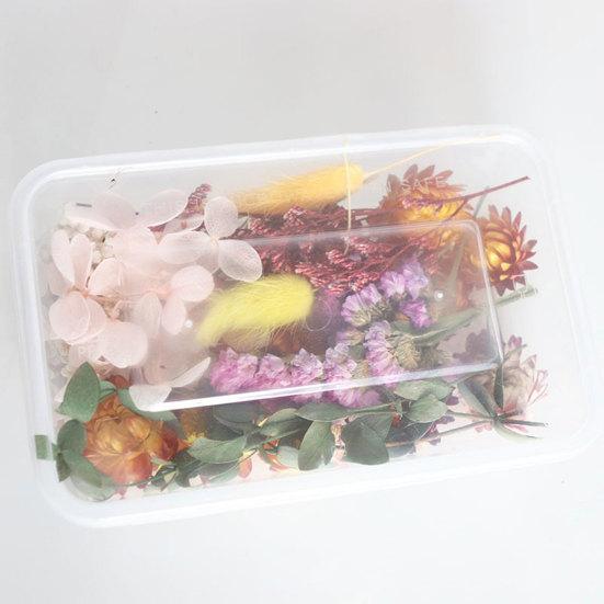 Dried Flowers Home Photography Props DIY Ornament Craft Specimen Accessories