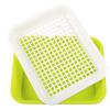 Camellia Double-Layer Plastic Tea Tray Set