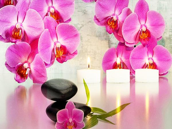 5D DIY Diamond Painting Orchid Rhinestone Pictures Full Round Diamond Embroidery Flower Crafts Kit Home Decor