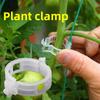 Agricultural Vine Tying and Branch Tying Plant Fixing Clip