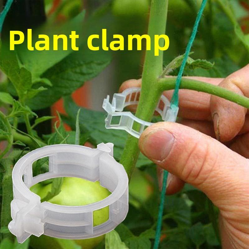 Agricultural Vine Tying and Branch Tying Plant Fixing Clip