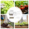 6 Holes Soil-Free Planting Box Plastic Nursery Pots Versatile Cultivation Box  Indoor Gardening