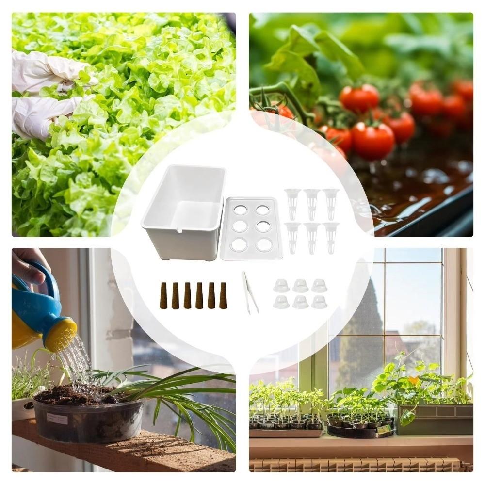 6 Holes Soil-Free Planting Box Plastic Nursery Pots Versatile Cultivation Box  Indoor Gardening