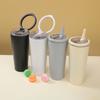 Ring Handle 304 Stainless Steel Thermos Cup Office Folding Straw Cup High Value Random Cup