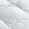 Fang'en Premium White Goose Down Winter Duvet