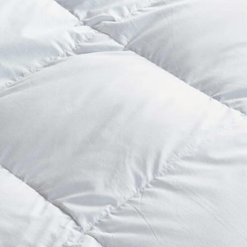 Fang'en Premium White Goose Down Winter Duvet
