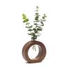 Wooden 1 Glass Test Tube Home Decor Planter Modern Flower Vase with Wood Stand Plant Propagation