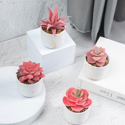 Ceramiczny kubek ze złotym wzorem na białym tle, Symulowana roślina sukulentowa w doniczce, Mini roślina doniczkowa do biura, domu, supermarketu, ozdoba dekoracyjna