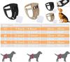 Pet Safety Pants With 3 Cotton Pads Physiological Pants Hygiene Pants Size S-Xxl
