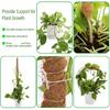 Plant Support Flexible Plant Stake Living Room Plant Stand Plant Climbing Support Suitable for Indoor Plant Growth