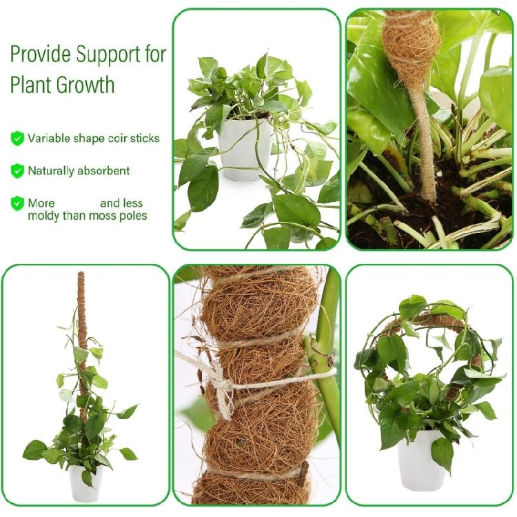 Plant Support Flexible Plant Stake Living Room Plant Stand Plant Climbing Support Suitable for Indoor Plant Growth