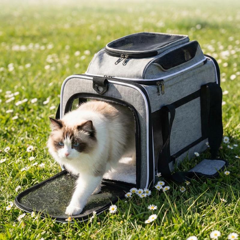 Foldable Pet Carrier Bag for Cats Small Dogs, Breathable Multi-Opening Soft Travel Tote with Padded Base and Safety Leash