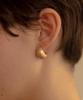 Novice Tokyo Volume Pierce / Gold