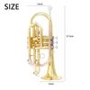 SLADE Bb Cornet Gold Plated Cornet Horn Professional Brass Instrument Cornet Trumpet With Case Cleaning Accessories Parts