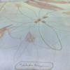Used Salvatore Ferragamo Floral Scarf
