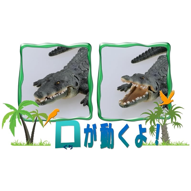 Ania AS-08 Nile Crocodile