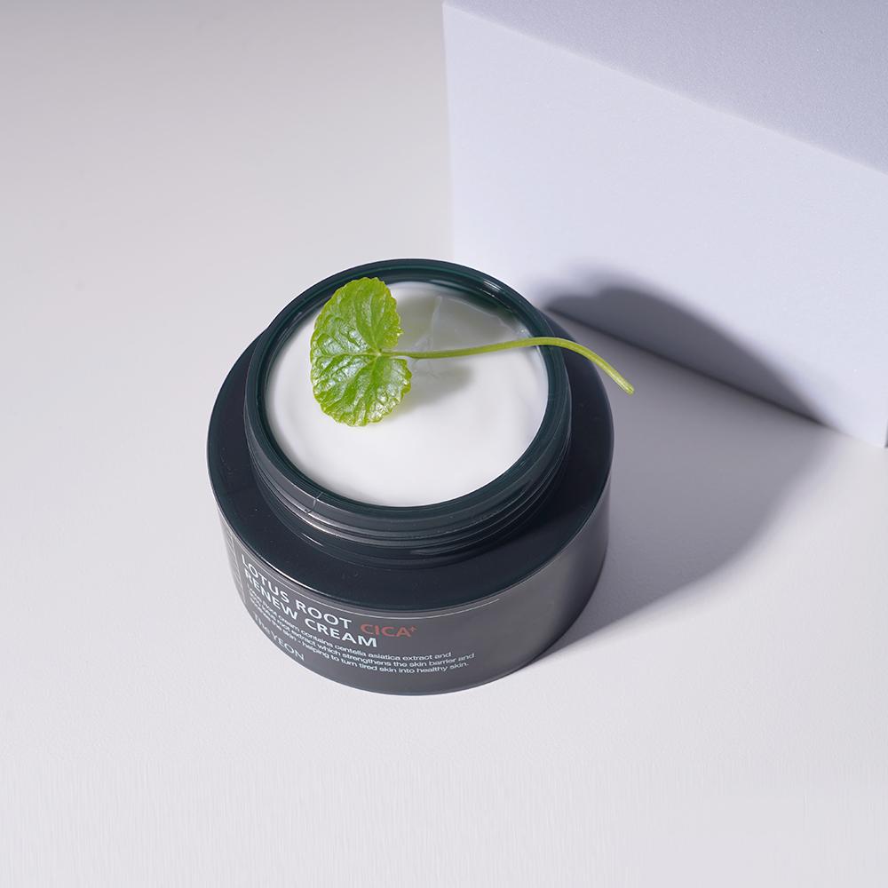 [The YEON] Lotuswurzel CICA+ Renew Creme - 50ml