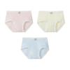 Urban Beauty Women's 5A Antibacterial Cotton Mid-Waist Boxer Briefs (3-Pack)