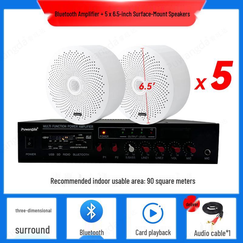 Wireless Indoor Ceiling Speaker with Wall-Mountable Hanging System
