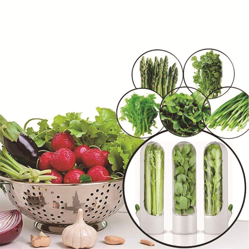 1Pc Herb Saver Storage Container Fresh Herb Keeper Vanilla Vegetables Fresh Preservation Bottle For Refrigerator Kitchen