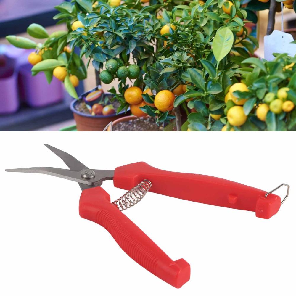 2PCS Straight Blade Pruning Shears Red Trimming Scissors Durable Garden Scissors