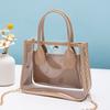 Bag Women 2025 New Transparent PVC with Leather Chain Crossbody Handbag Casual Small Bag