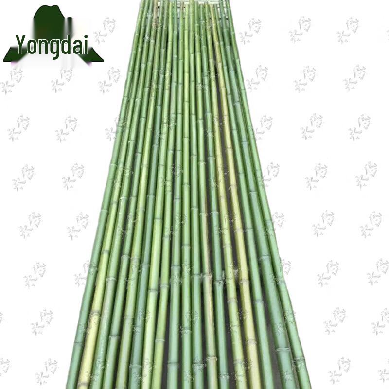 Garden Bamboo Climbing & Support Poles