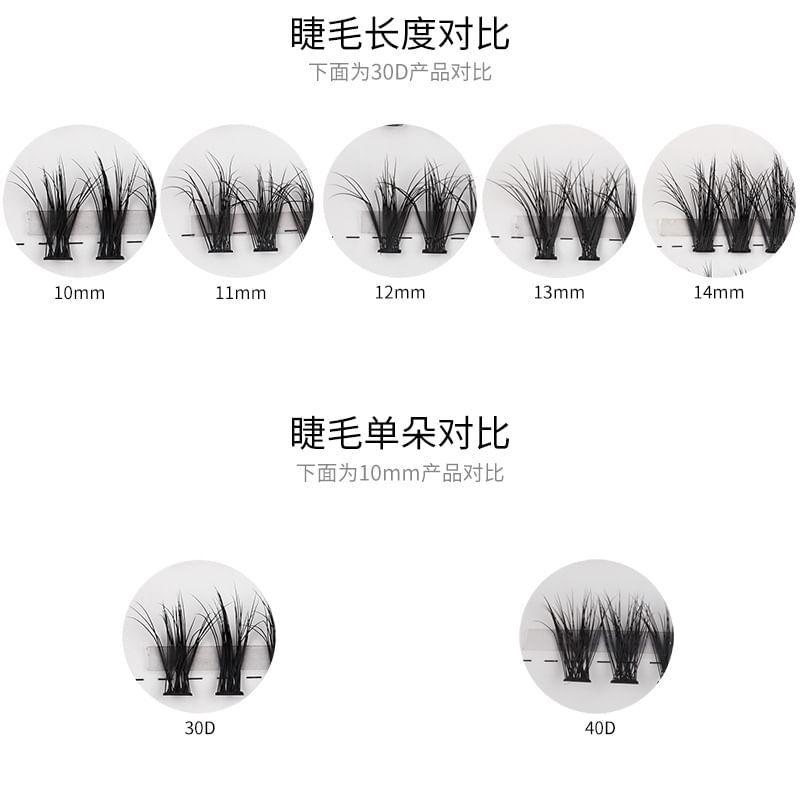 Lashie - False Eyelashes (Various Designs)