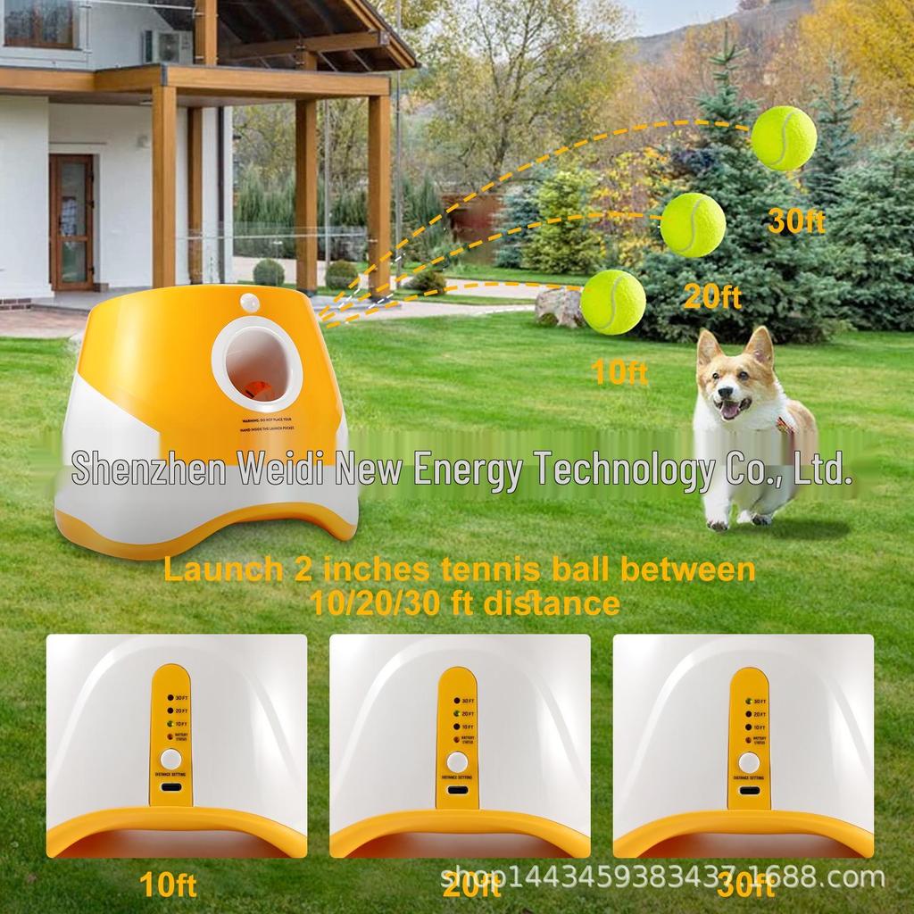 Lanciapalle automatico per animali domestici per gatti e cani – Include 6 palline da tennis per giocare all'aperto